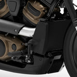 Radiator Side Cover Fairing For Harley Sportster S RH1250S 2021-2023 2022