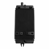 Motorcycle Engine Radiator Water Cooler Cooling Fit For Triumph Street Twin Street Scrambler Bonneville T100 T120 Thruxton 1200