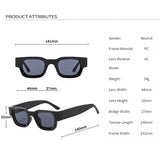 Small Square Retro Sunglasses