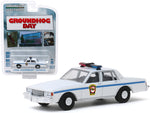 1980 Chevrolet Caprice White \"Punxsutawney Police\" \"Groundhog Day\" (1993) Movie \"Hollywood Series\" Release 26 1/64 Diecast Model Car by Greenlight