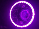7″ Black Angel Eye PINK HALO Projector HID LED Light Bulb Headlight Motorcycle