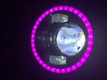 7″ Black Angel Eye PINK HALO Projector HID LED Light Bulb Headlight Motorcycle