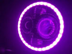 7″ Pink HALO Headlight 4.5″–4 1/2″ Auxiliary Black Spot Passing LED Fog Lights