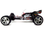 1:12 2.4G 2WD RC WaveRunner Remote Control Racing Buggy (White)